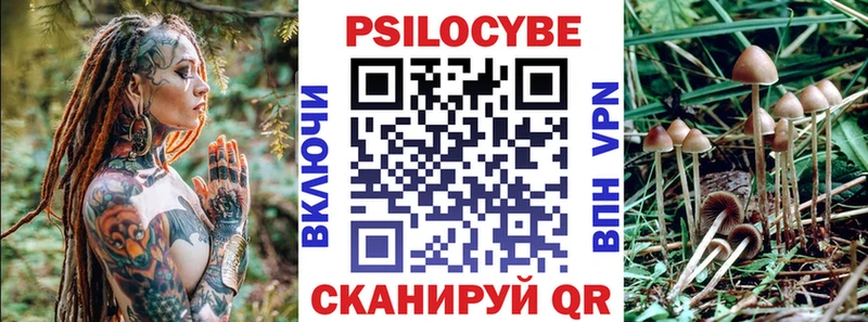 закладки  Городовиковск  Галлюциногенные грибы GOLDEN TEACHER 